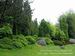 Композиции Ботанического сада в Брно тоже составлены с любовью и вкусом.